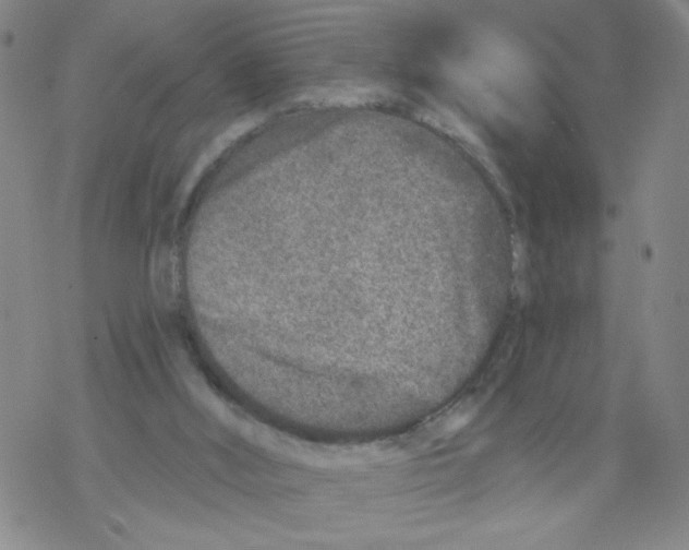 X0000067920012200605112020