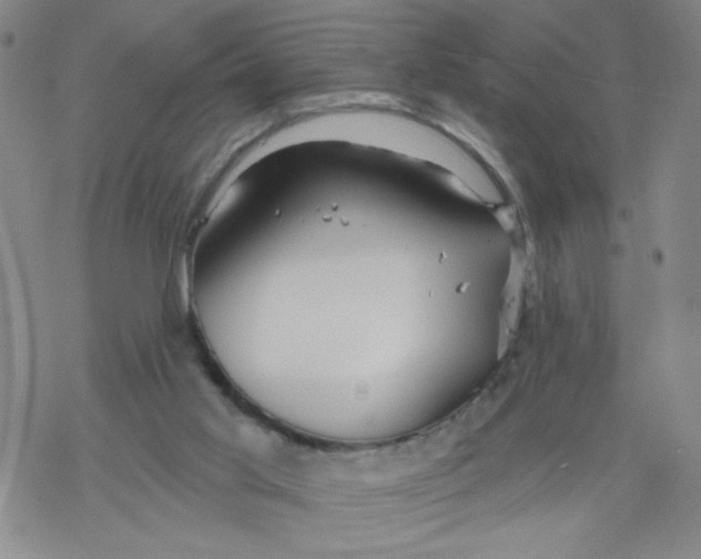 X0000067920013200605112020