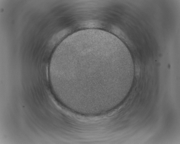 X0000067920014200605112020