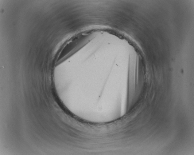 X0000067920015200605112020