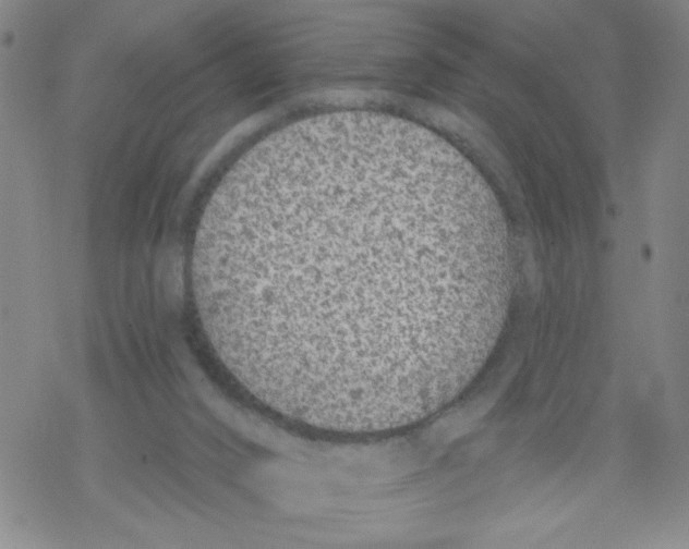 X0000067920016200605112020