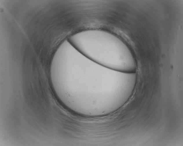 X0000067920017200605112020