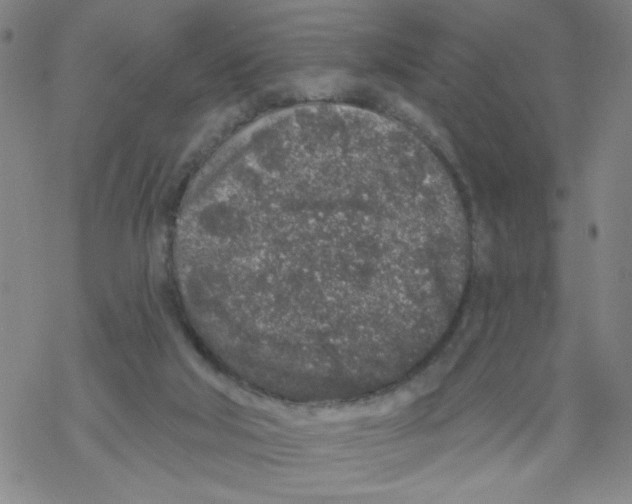 X0000067920018200605112020