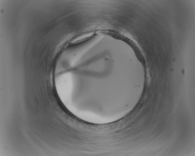 X0000067920019200605112020