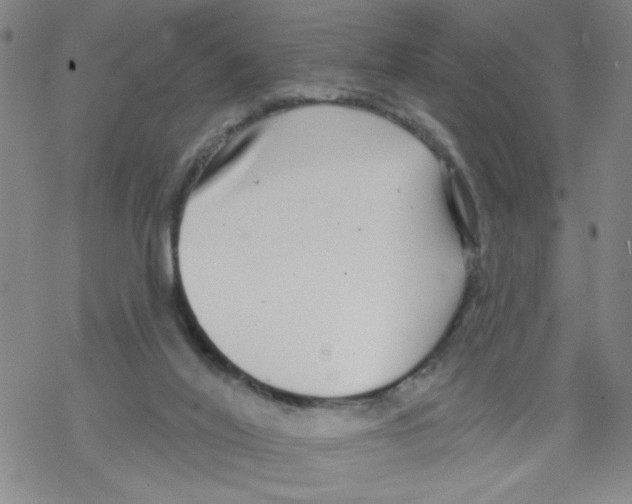 X0000067920020200605112020