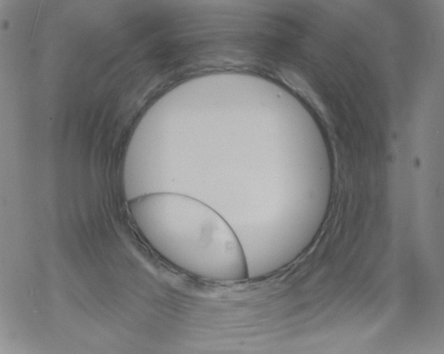 X0000067920021200605112020