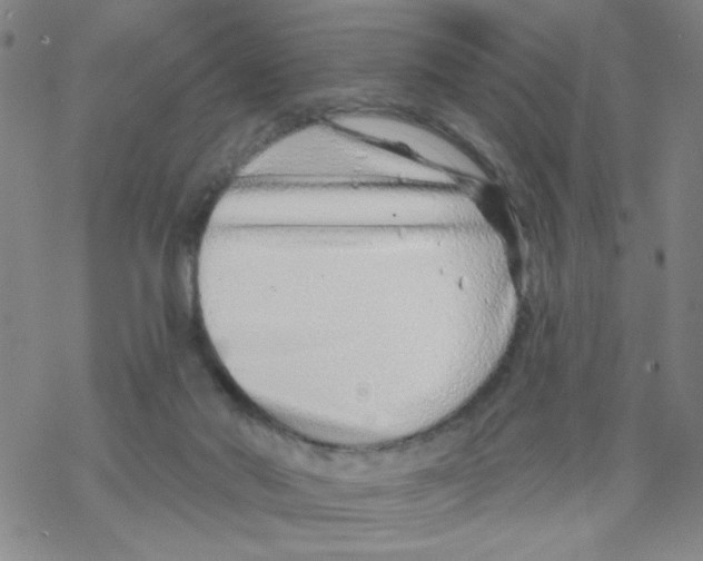 X0000067920022200605112020