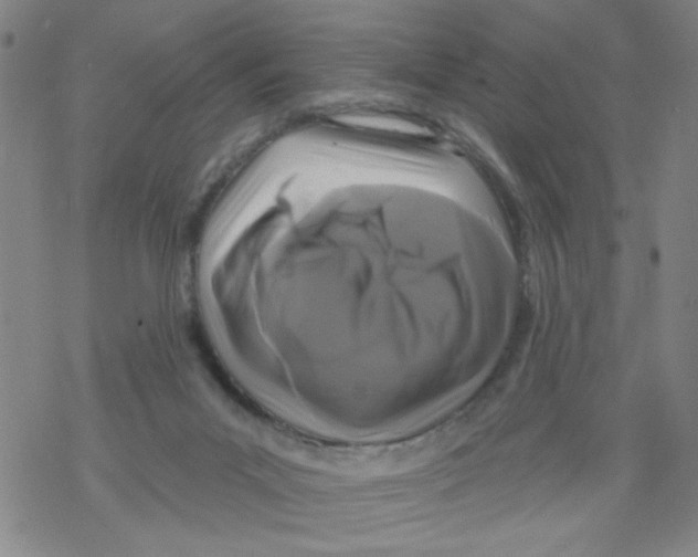 X0000067920023200605112020