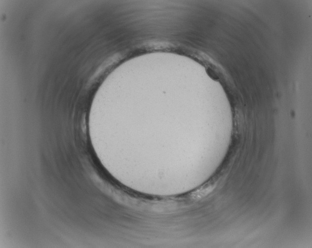 X0000067920024200605112020