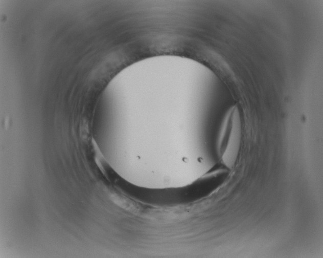 X0000067920025200605112020