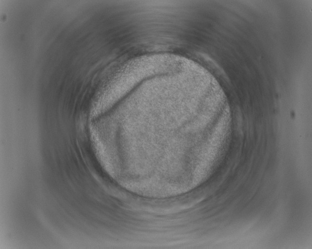 X0000067920026200605112020