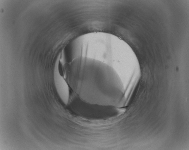 X0000067920027200605112020