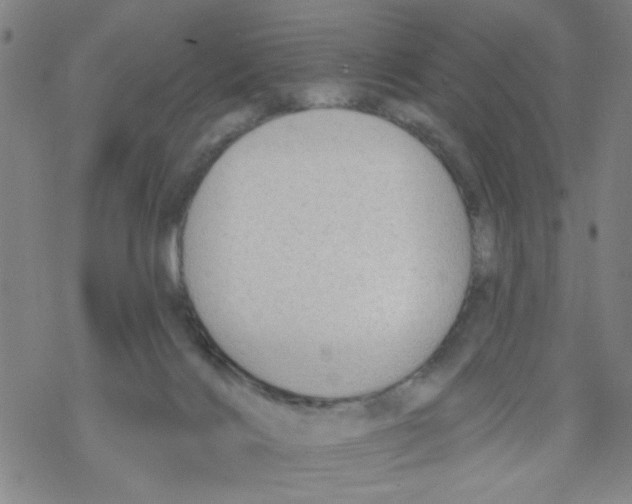 X0000067920028200605112020