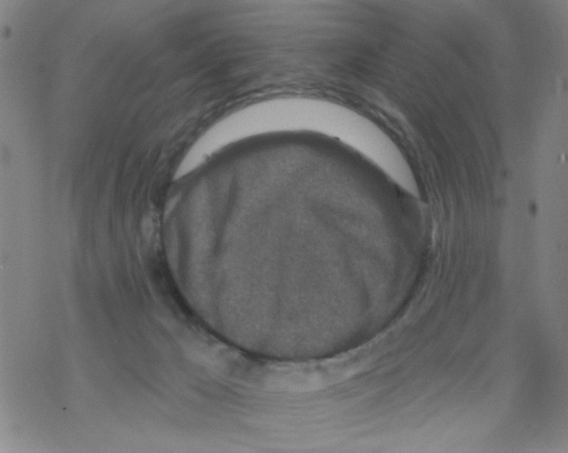 X0000067920029200605112020