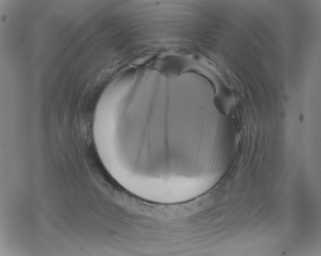 X0000067920031200605112020