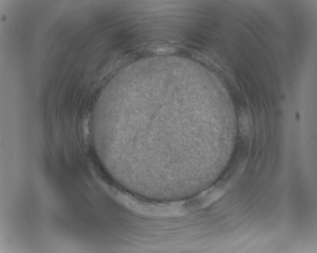 X0000067920032200605112020