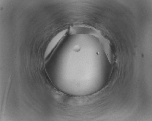 X0000067920033200605112020