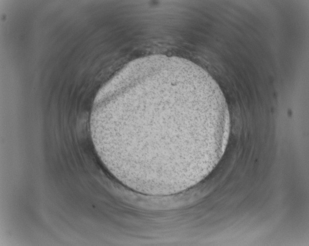 X0000067920034200605112020