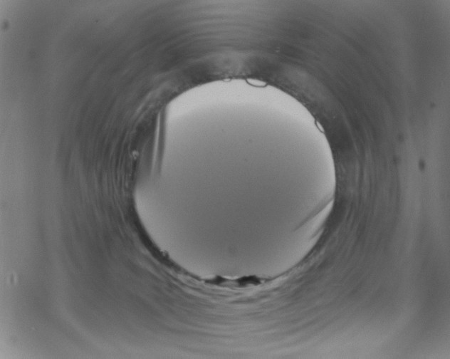 X0000067920035200605112020