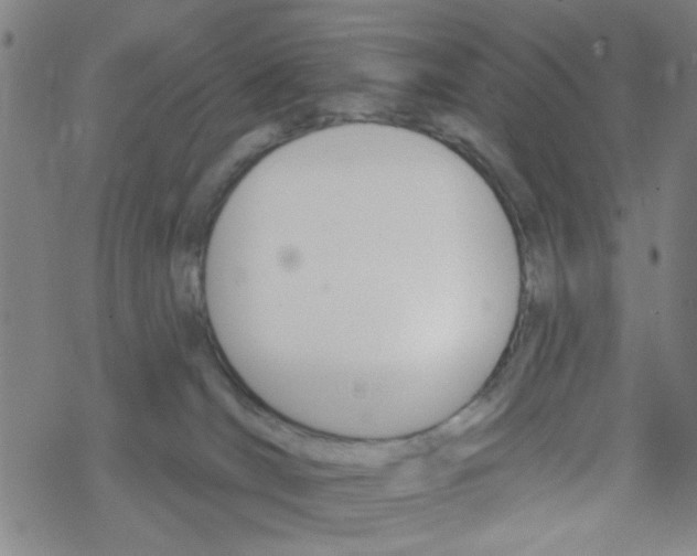 X0000067920036200605112020