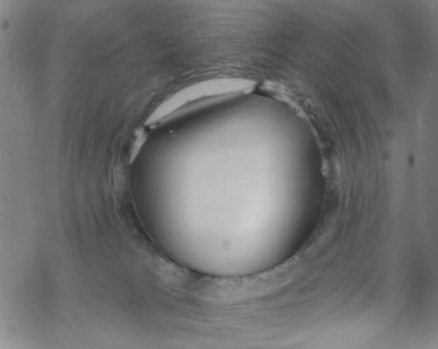 X0000067920037200605112020