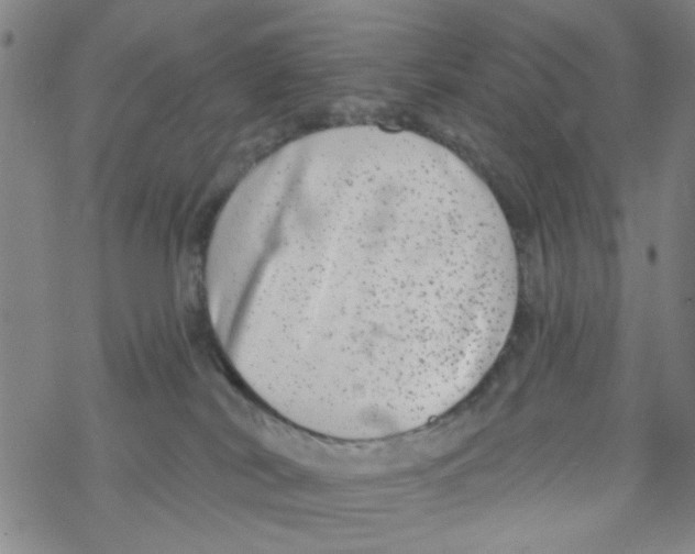 X0000067920038200605112019