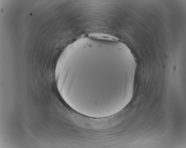 X0000067920039200605112019