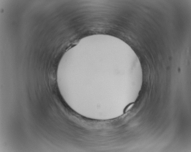 X0000067920040200605112019