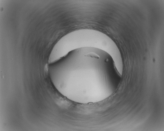 X0000067920041200605112019