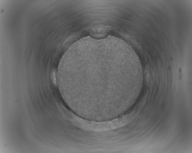 X0000067920042200605112019