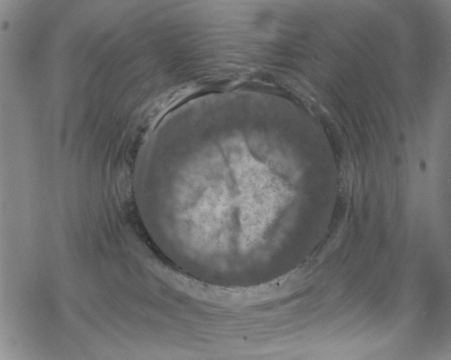 X0000067920043200605112019