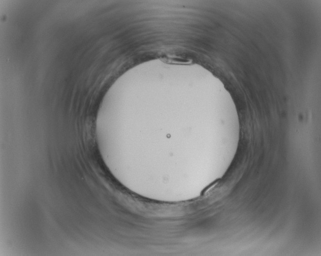 X0000067920044200605112019