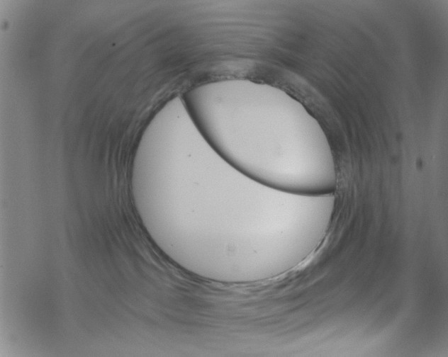 X0000067920045200605112019