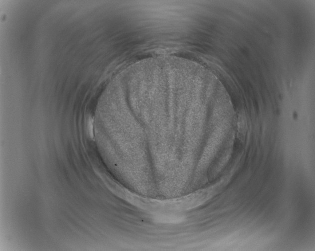 X0000067920046200605112019