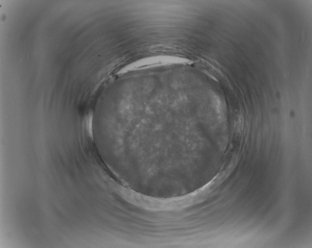 X0000067920047200605112019