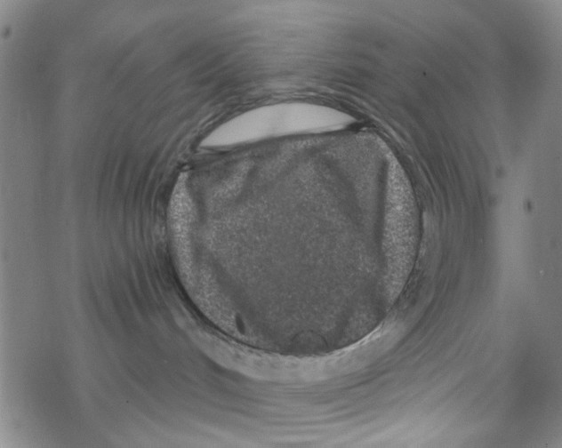 X0000067920048200605112019