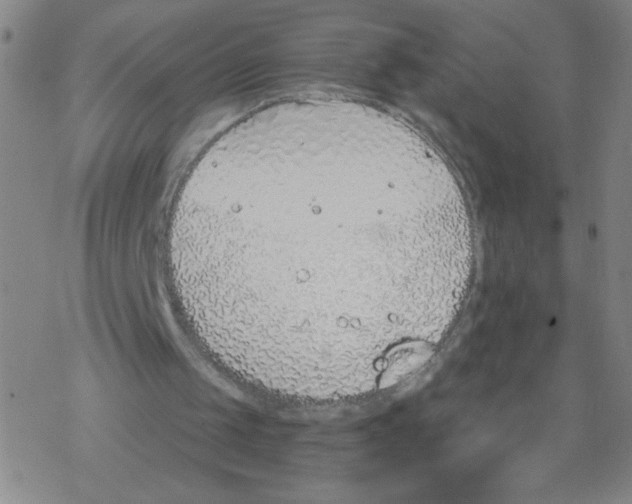 X0000067920049200605112019