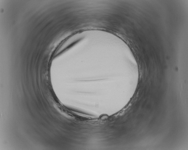 X0000067920050200605112019