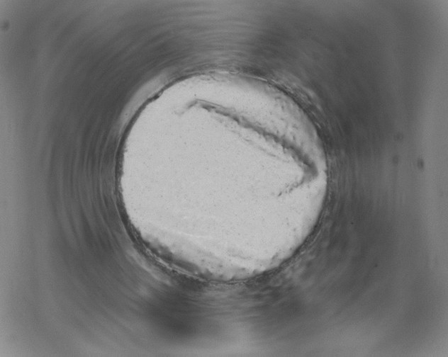 X0000067920051200605112019