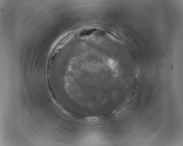 X0000067920052200605112019