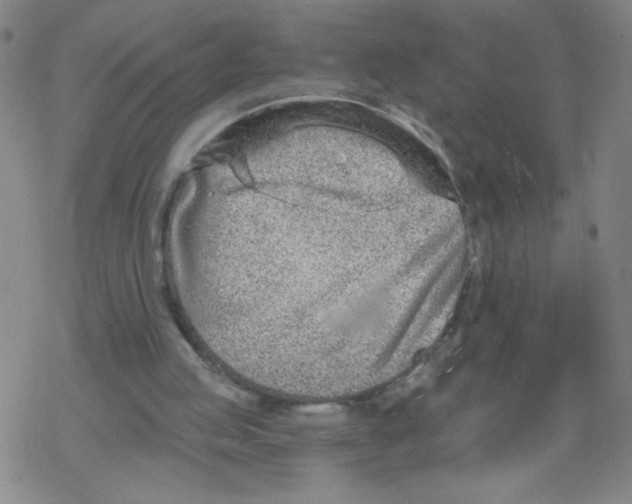 X0000067920053200605112019