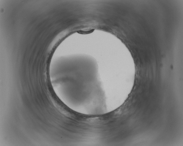 X0000067920054200605112019