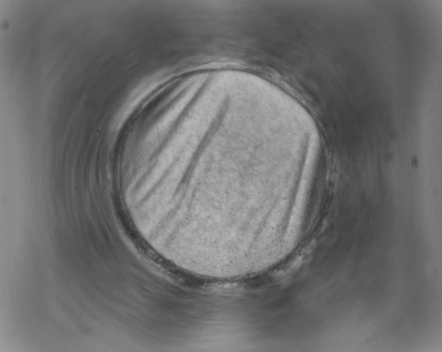 X0000067920055200605112019