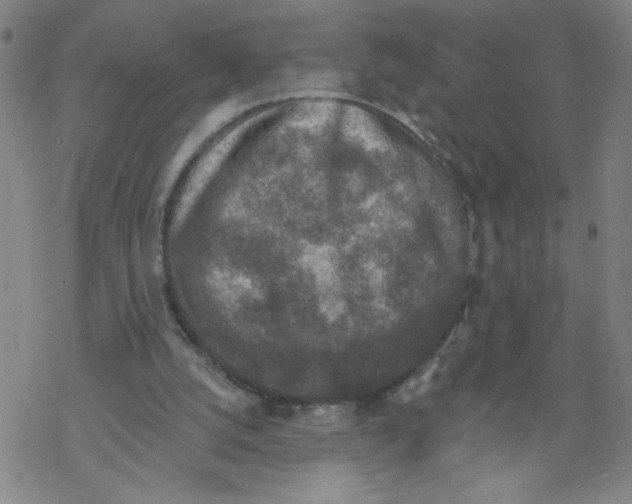 X0000067920056200605112019