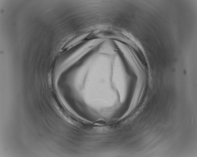 X0000067920057200605112019