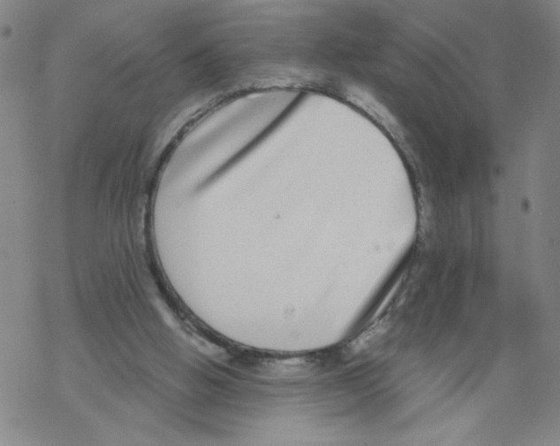 X0000067920058200605112019