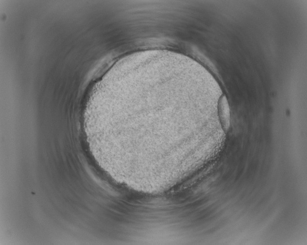 X0000067920059200605112019