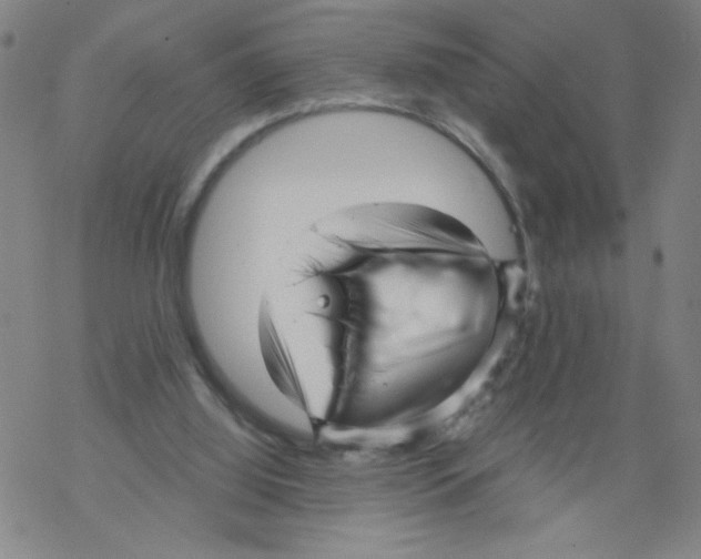 X0000067920060200605112019