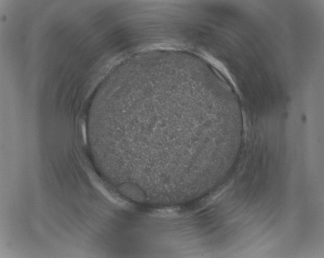 X0000067920061200605112019