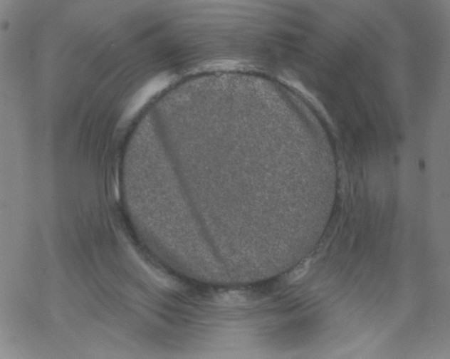 X0000067920062200605112019